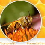 beezone.com
