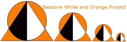 Beezone White and Orange Project